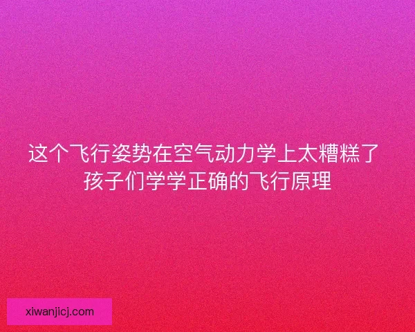 这个飞行姿势在空气动力学上太糟糕了 孩子们学学正确的飞行原理 这个飞行姿势在空气动力学上太糟糕了 孩子们学学正确的飞行原理