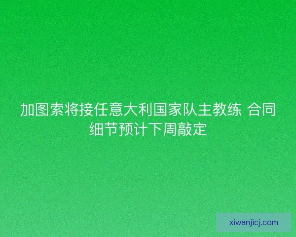加图索将接任意大利国家队主教练 合同细节预计下周敲定 加图索将接任意大利国家队主教练 合同细节预计下周敲定